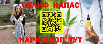 Альфа ПВП Кингисепп