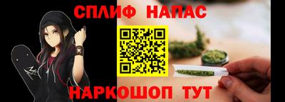 Альфа ПВП Кингисепп