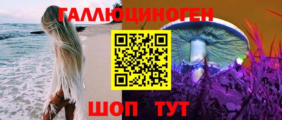 Псилоцибиновые грибы GOLDEN TEACHER  Галлюциногенные грибы прущие грибы  купить  сайты  Вход с VPN  Кстово 